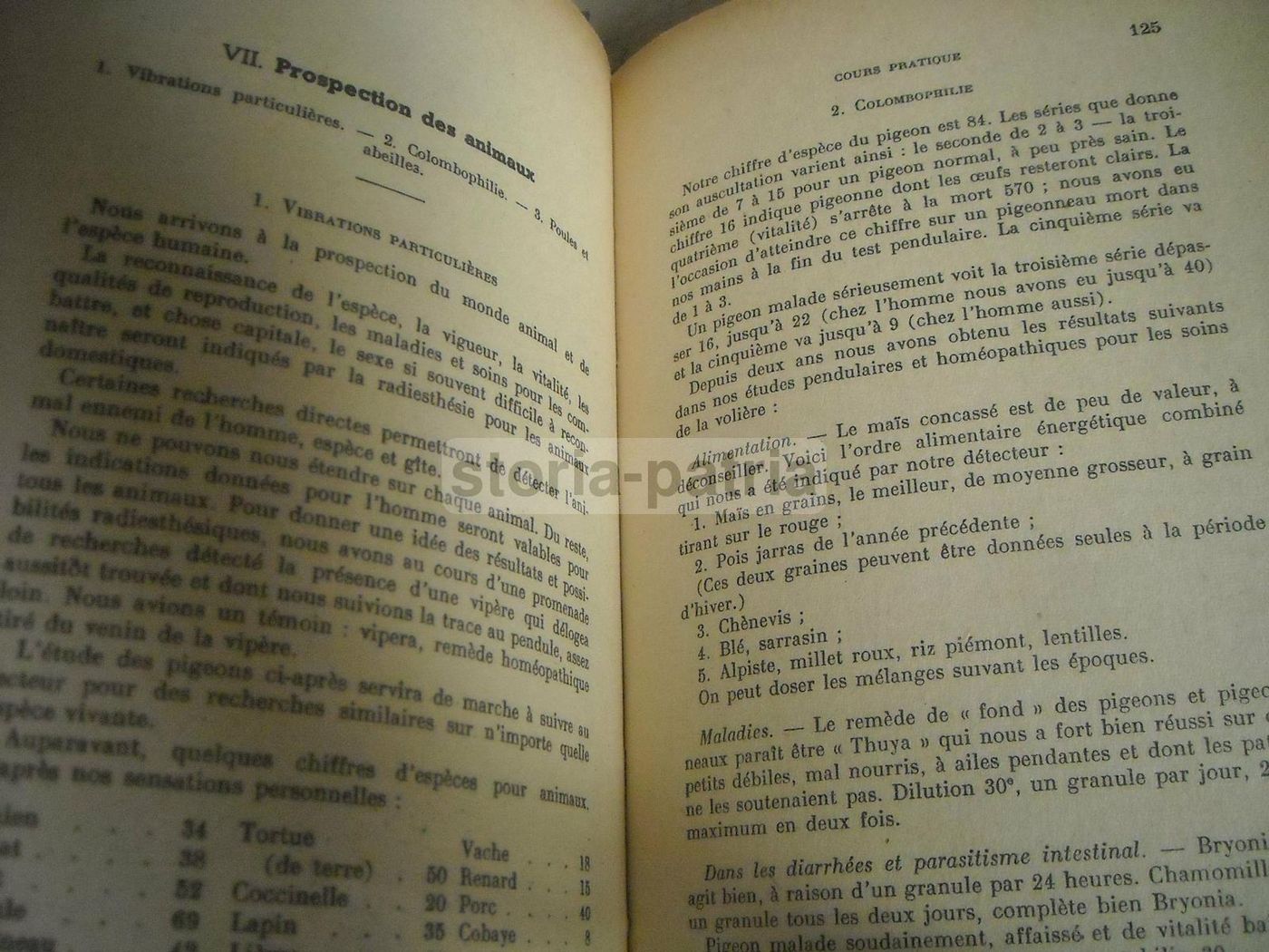 Manuel De Radiesthésie Lacroix 1935   Manuale Di Radiestesia E Pendolo