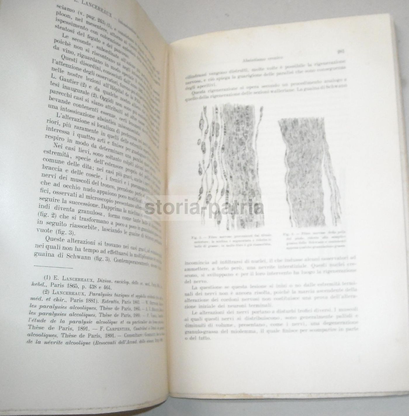 Intossicazioni, Ferdinando Battistini   UTET 1908 (Tossicologia)