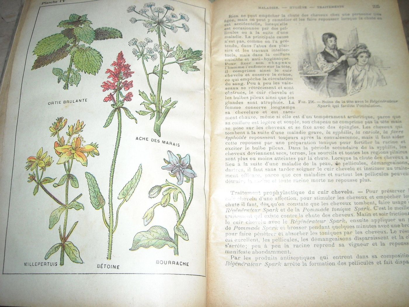 Livre De Santé Et d'Hygiène: Medicina Vegetale, Narodetzki 1917