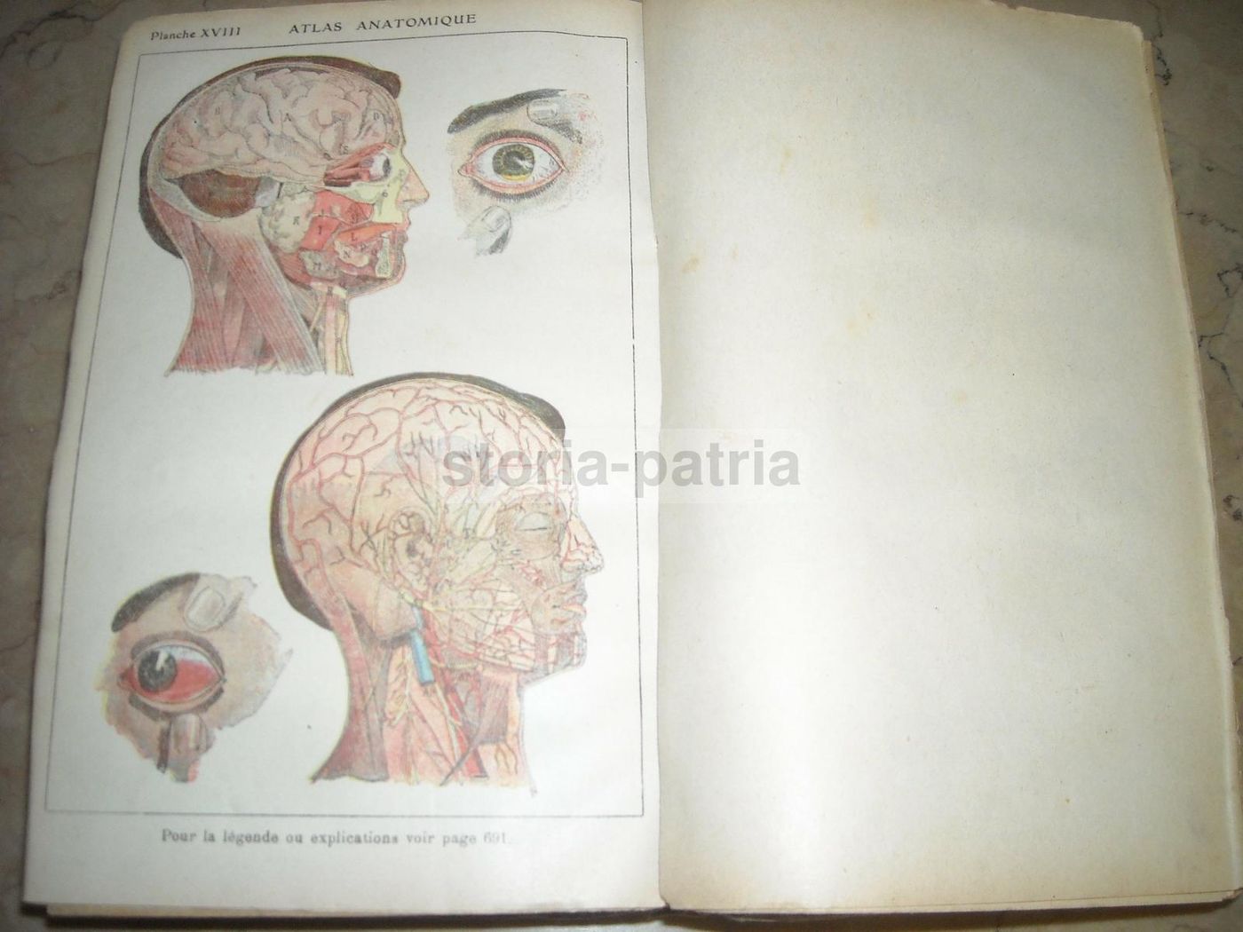 Livre De Santé Et d'Hygiène: Medicina Vegetale, Narodetzki 1917