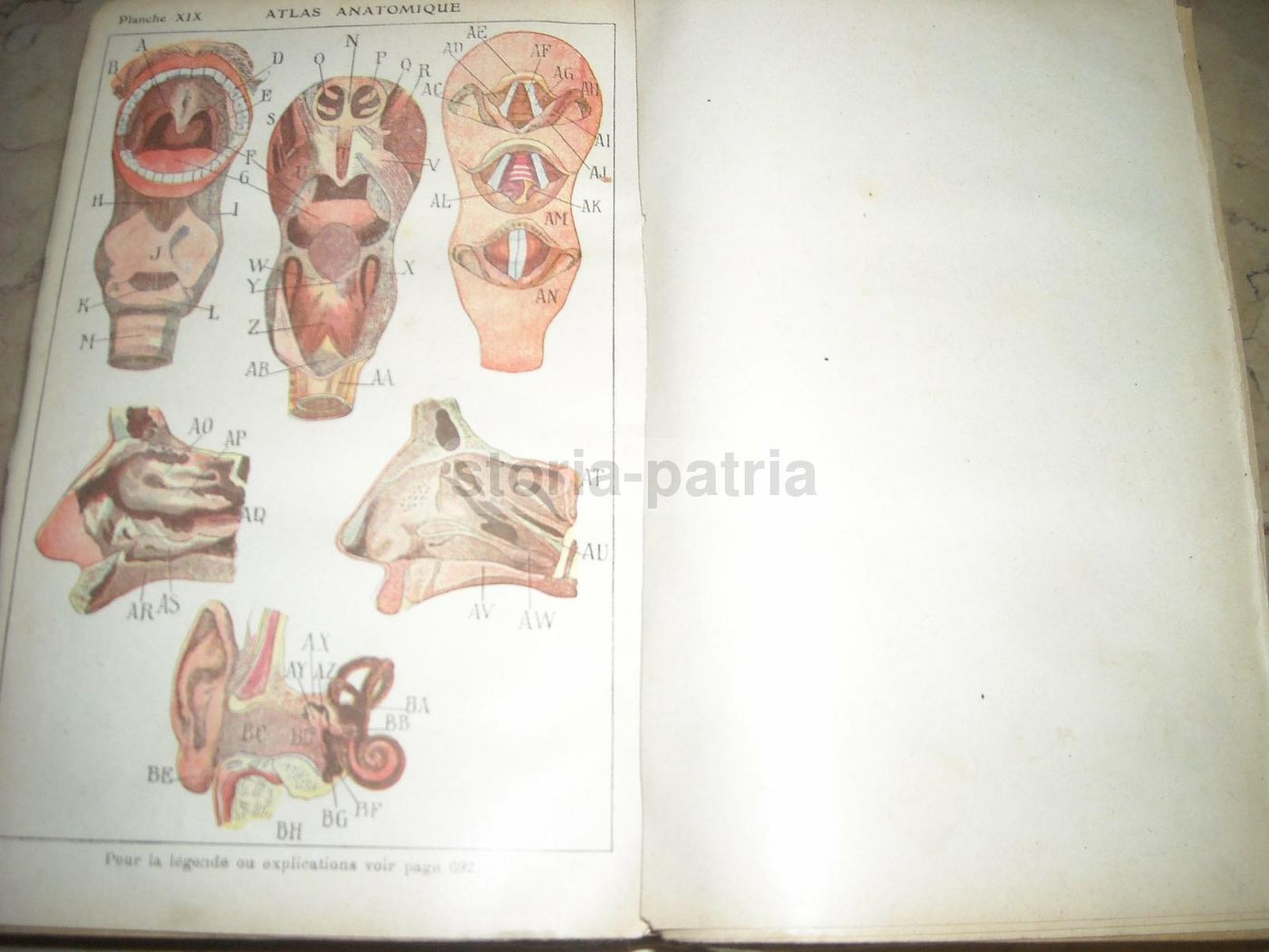 Livre De Santé Et d'Hygiène: Medicina Vegetale, Narodetzki 1917