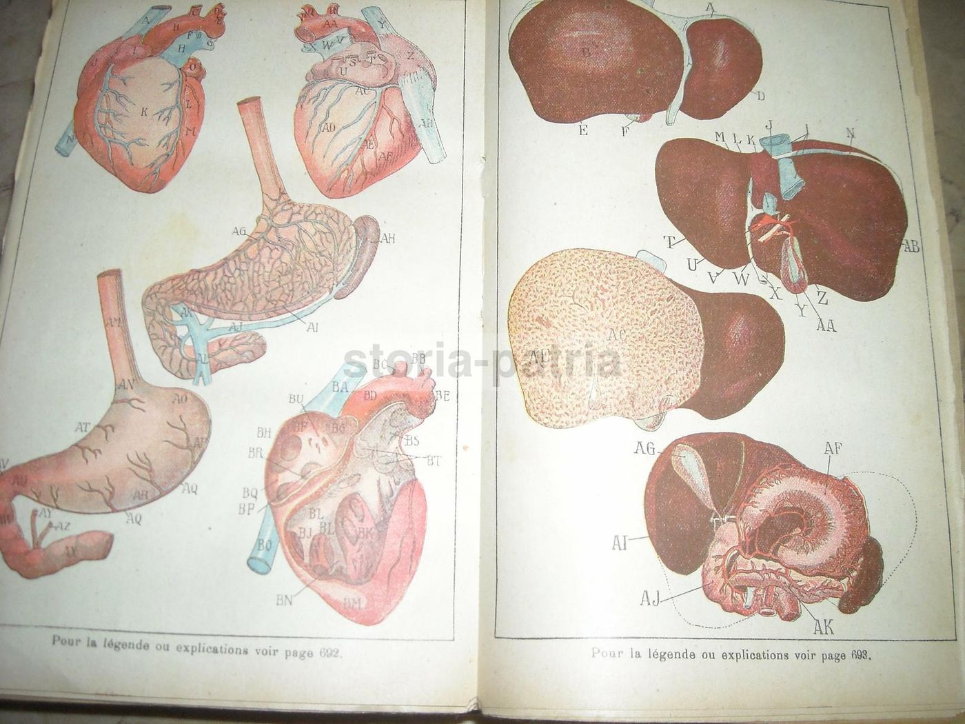 Livre De Santé Et d'Hygiène: Medicina Vegetale, Narodetzki 1917