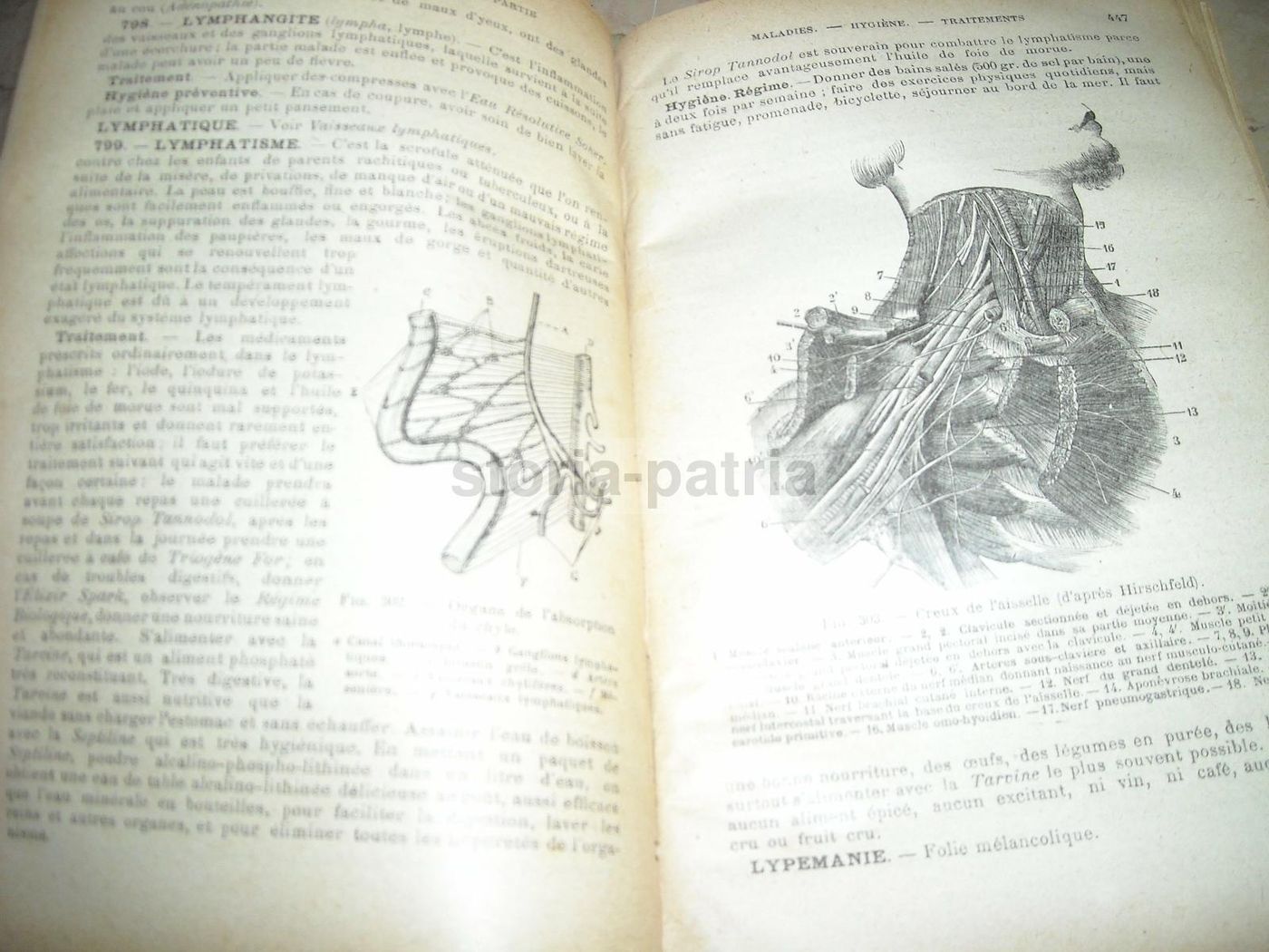 Livre De Santé Et d'Hygiène: Medicina Vegetale, Narodetzki 1917