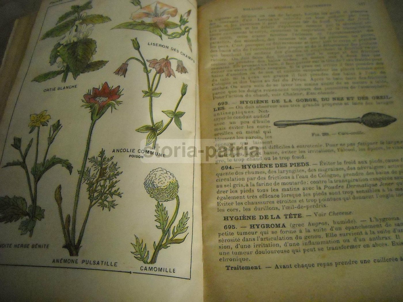 Livre De Santé Et d'Hygiène: Medicina Vegetale, Narodetzki 1917
