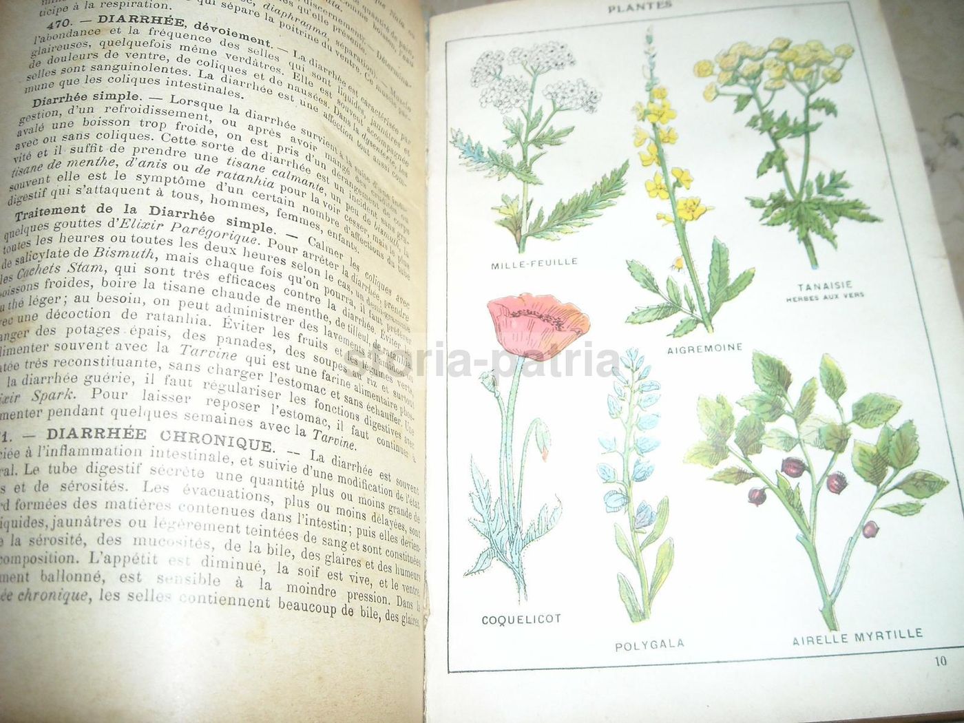 Livre De Santé Et d'Hygiène: Medicina Vegetale, Narodetzki 1917