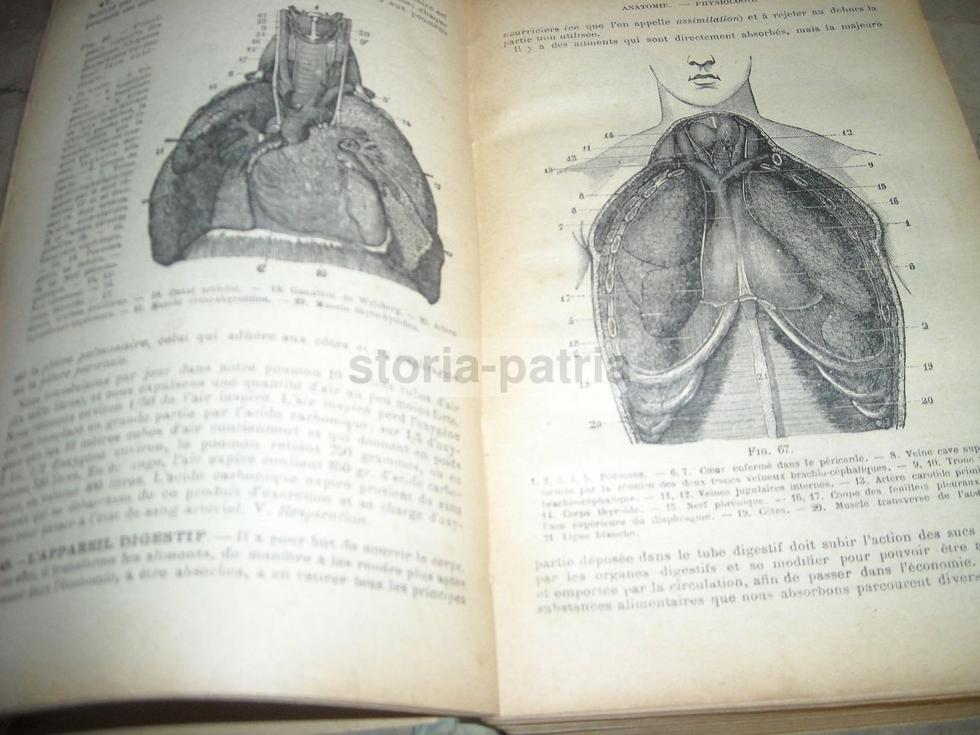 Livre De Santé Et d'Hygiène: Medicina Vegetale, Narodetzki 1917