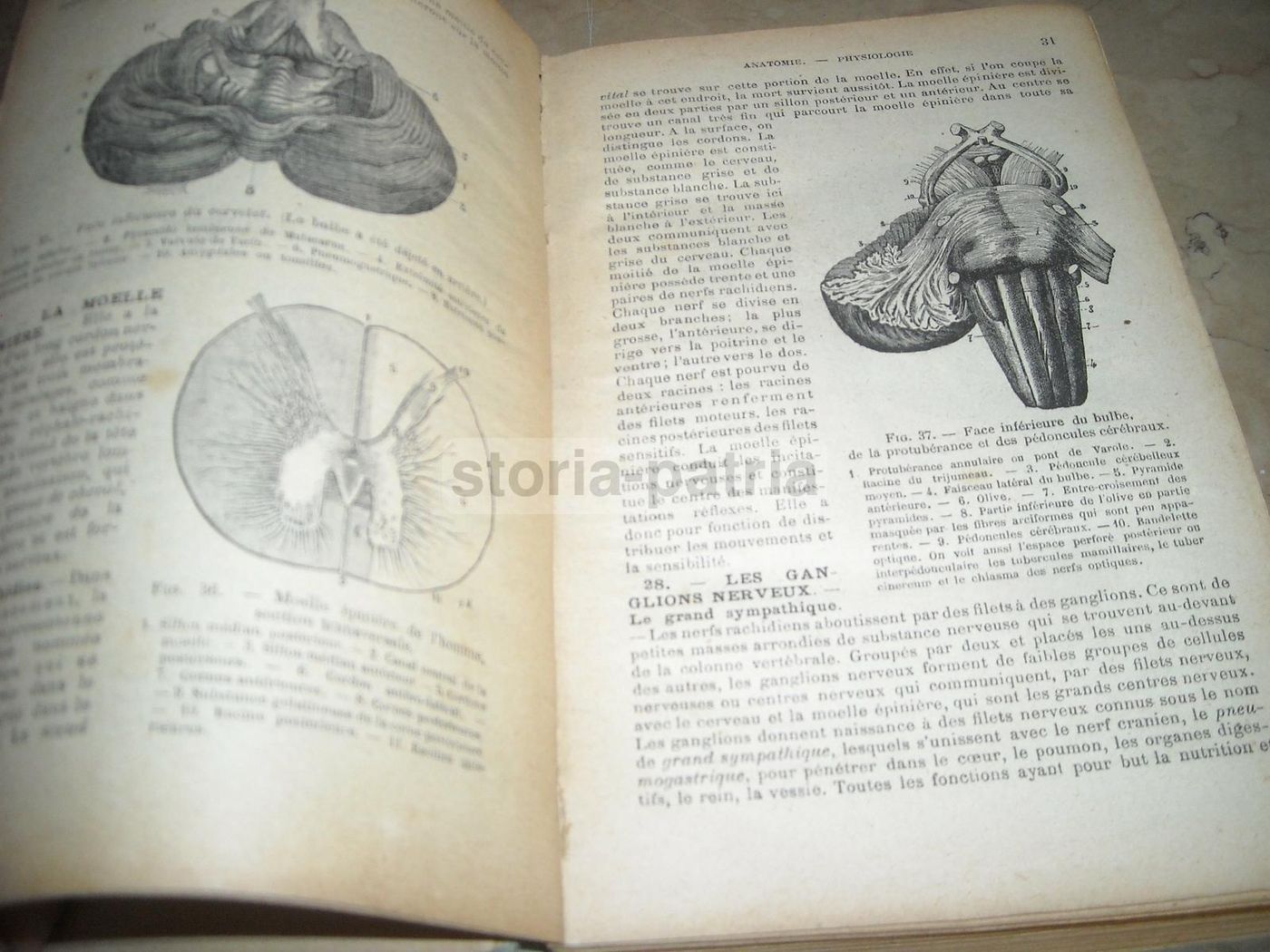 Livre De Santé Et d'Hygiène: Medicina Vegetale, Narodetzki 1917