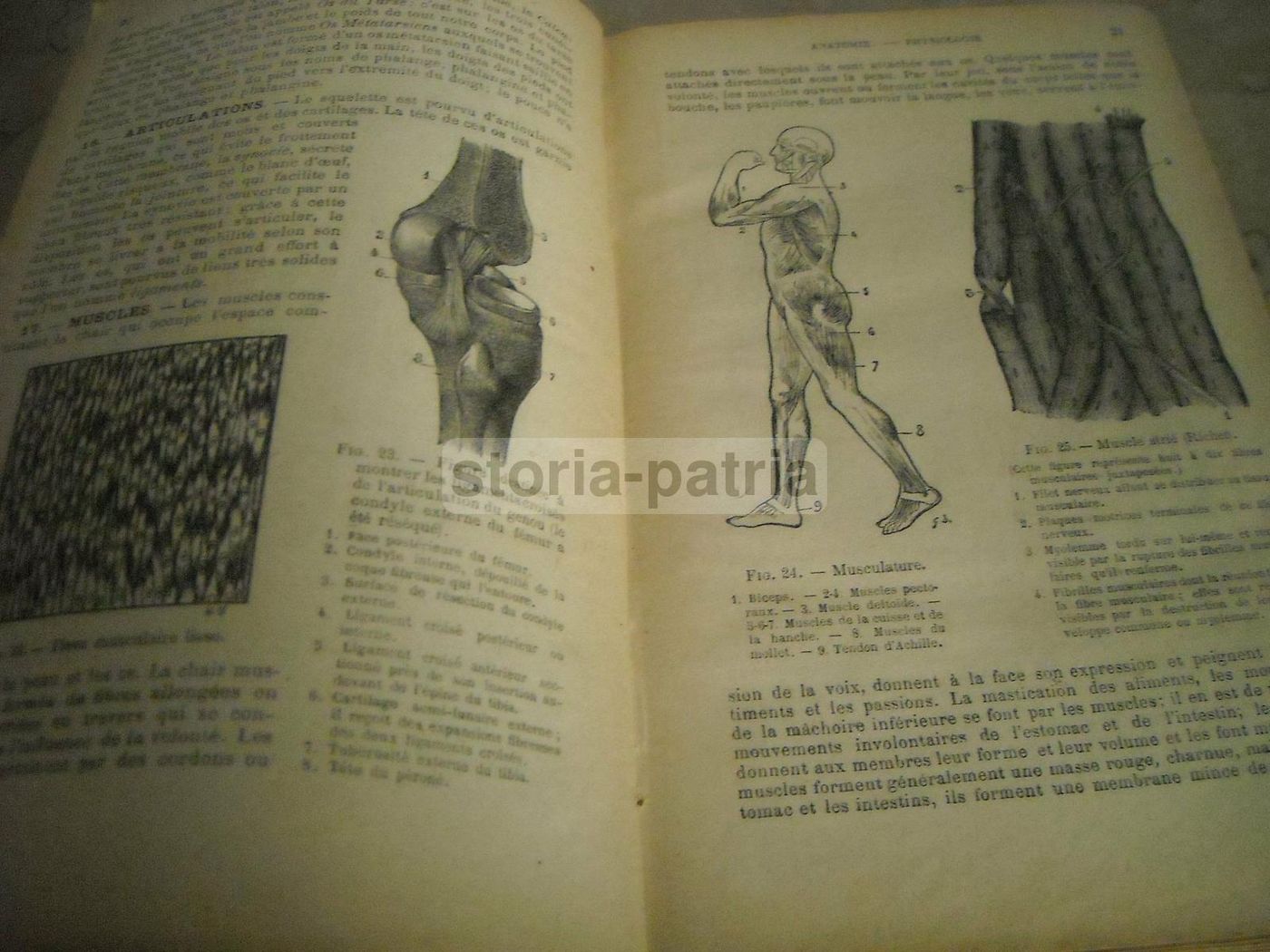 Livre De Santé Et d'Hygiène: Medicina Vegetale, Narodetzki 1917