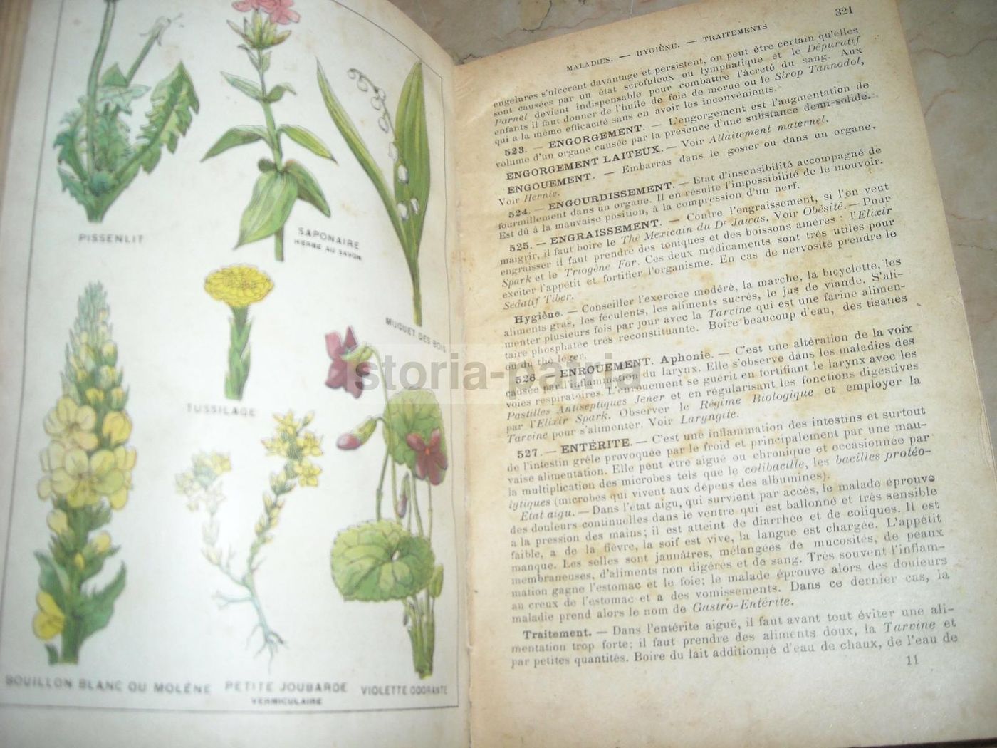 Livre De Santé Et d'Hygiène: Medicina Vegetale, Narodetzki 1917