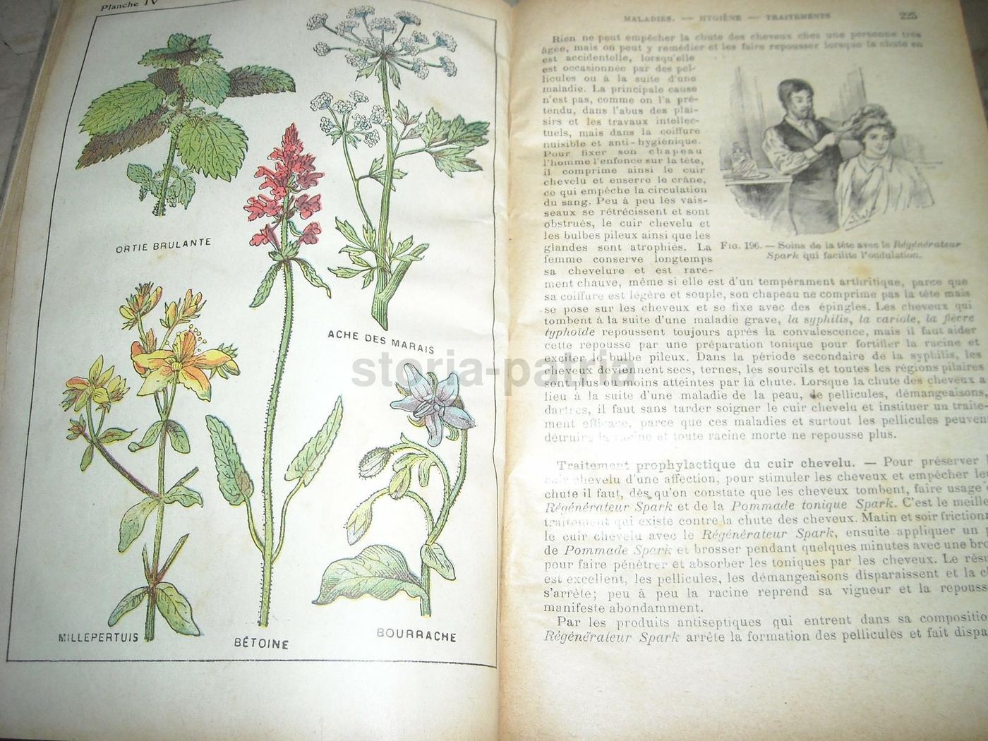 Livre De Santé Et d'Hygiène: Medicina Vegetale, Narodetzki 1917