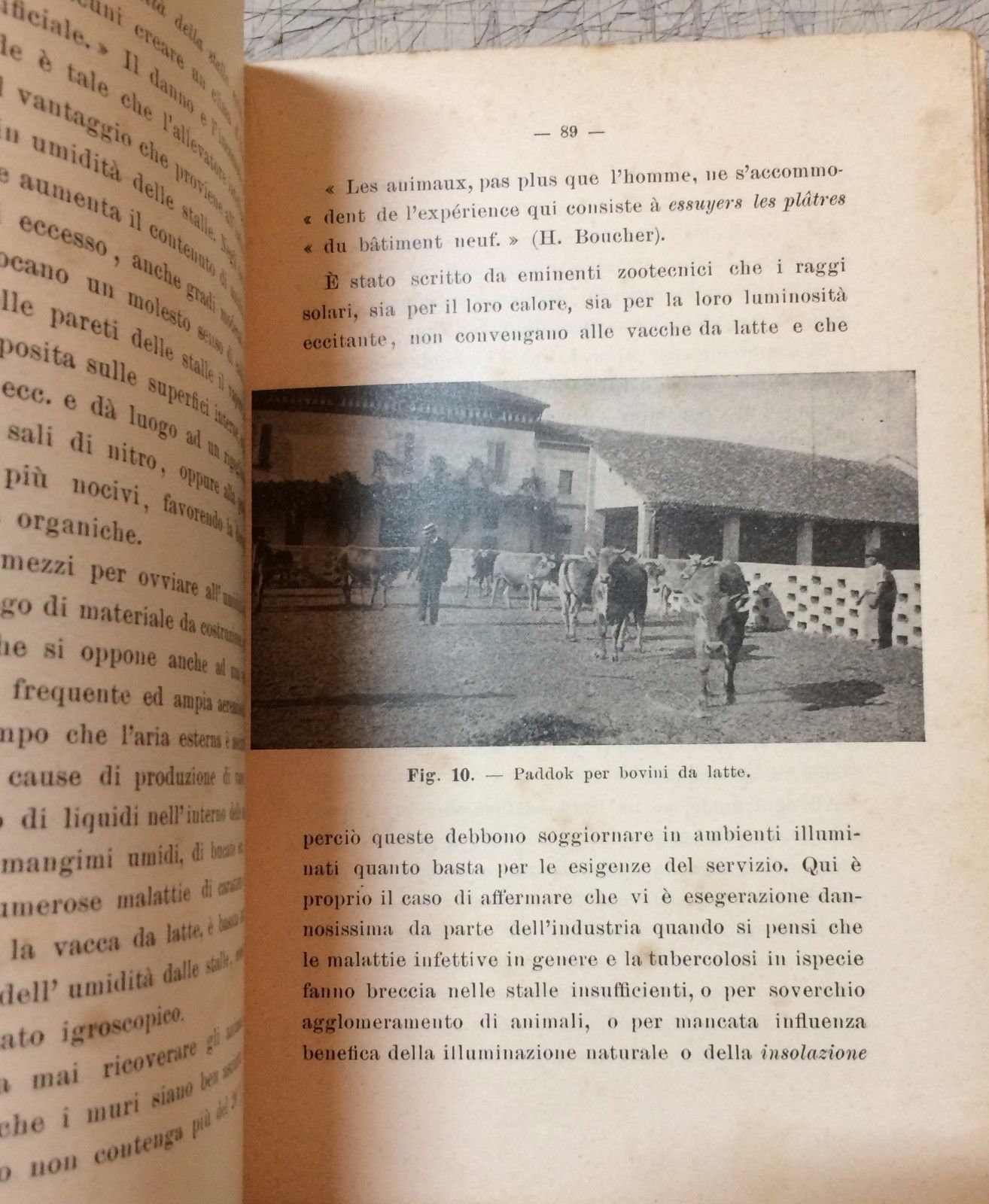 Igiene Delle Vacche Lattifere Alfredo Bartolucci, 1913