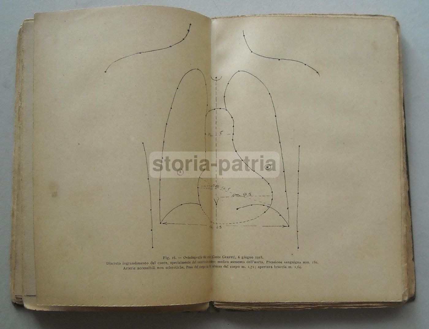 Come Prolungare La Vita, Giovanni Galli, Hoepli 1921, Prima Edizione