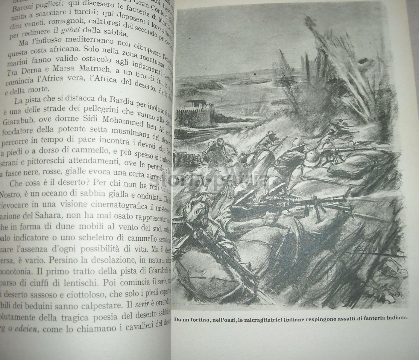 Gli Eroi Dell'Oasi Giarabub Di Mario Sardi 1942 Illustrato