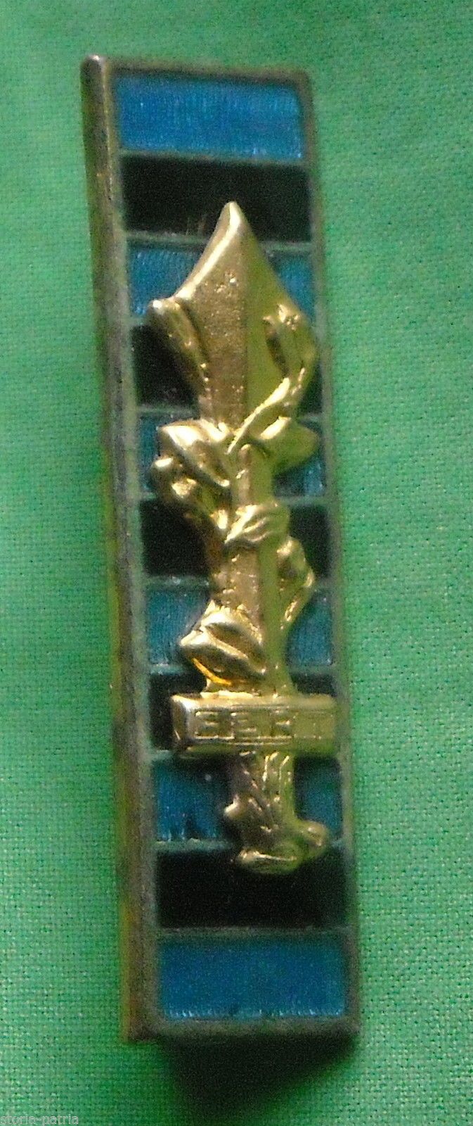 Distintivo Militare Smaltato Fert, Epoca Primi '900, Ottone Dorato