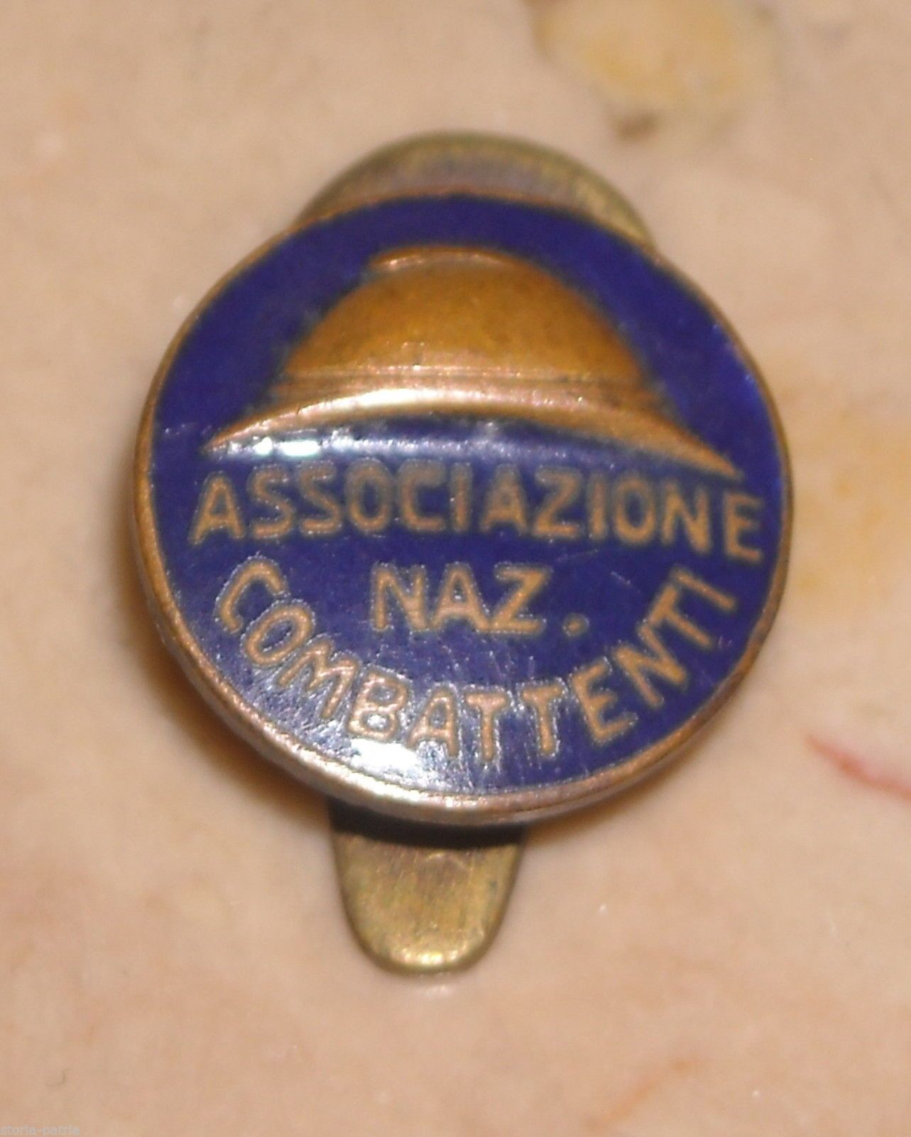 Distintivo Associazione Nazionale Combattenti, Fassino Torino