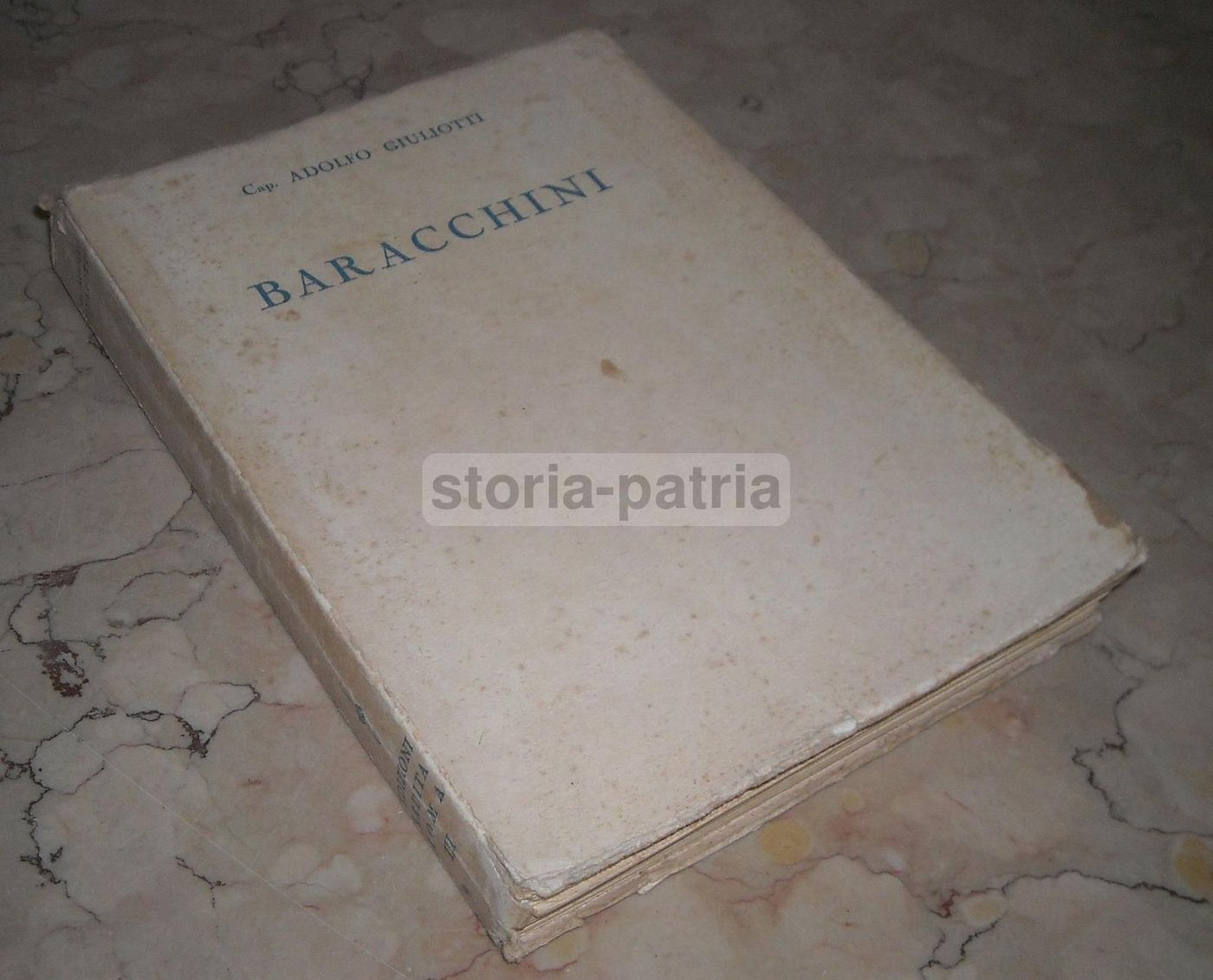 Baracchini. Biografia Di Adolfo Giuliotti (1934). Aviazione E Guerra Aerea