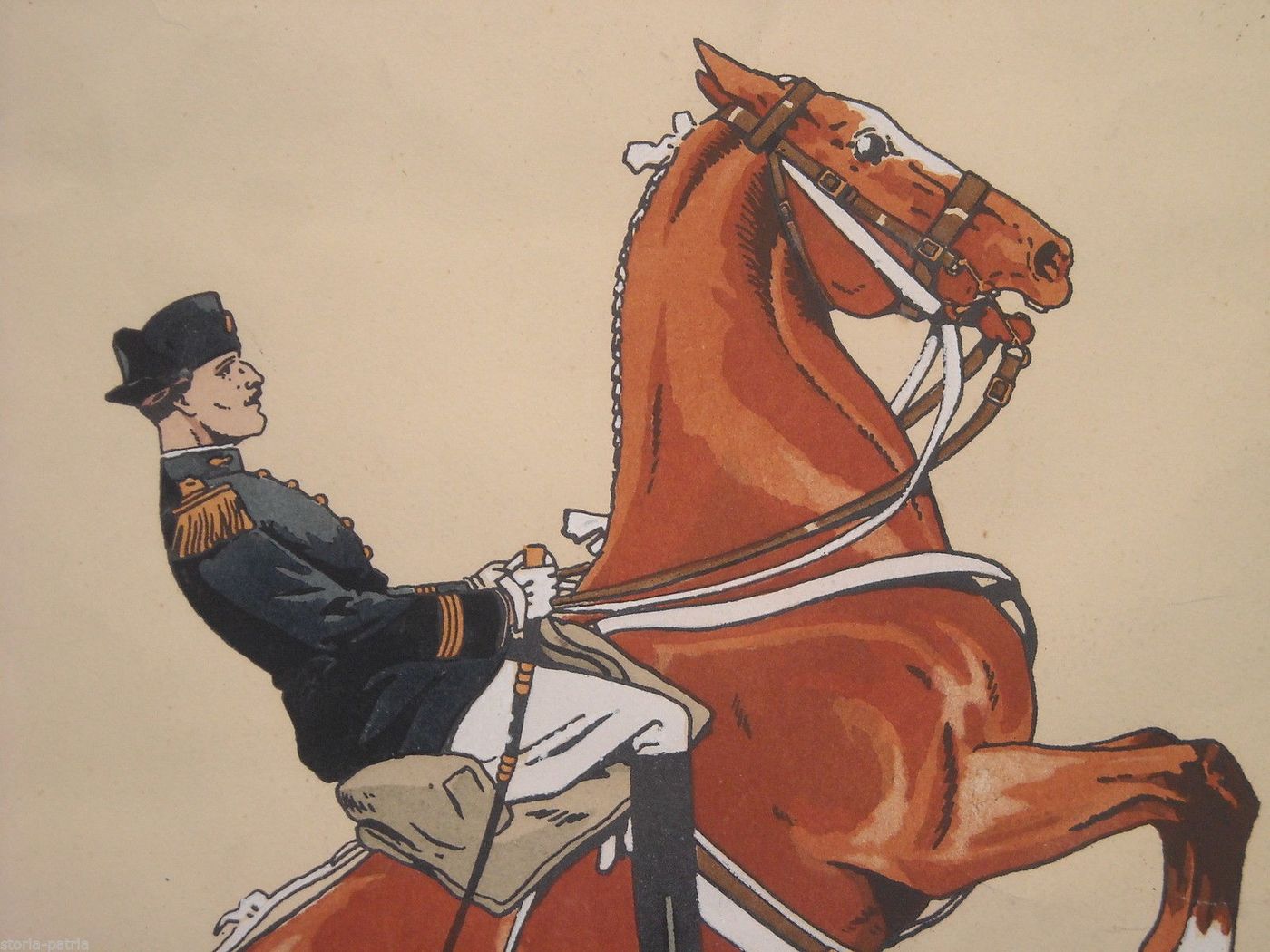 Illustrazione Soldato A Cavallo Epoca Napoleonica Firmata Letaille