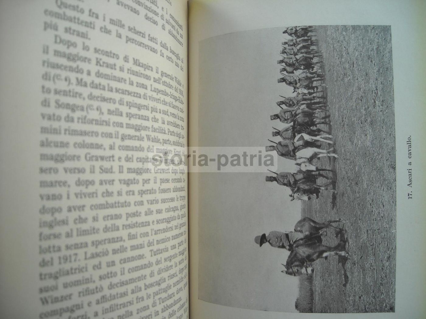 Guerra Nella Boscaglia Equatoriale 1914 1918   Scortecci   Mondadori