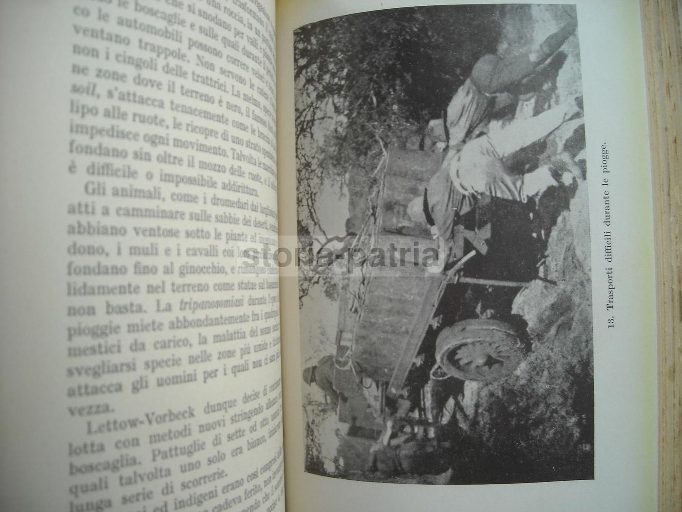 Guerra Nella Boscaglia Equatoriale 1914 1918   Scortecci   Mondadori