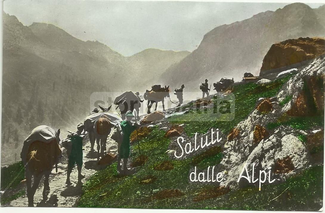 Cartolina Fotografica Alpini Grande Guerra Alpi Montagna Anni '20
