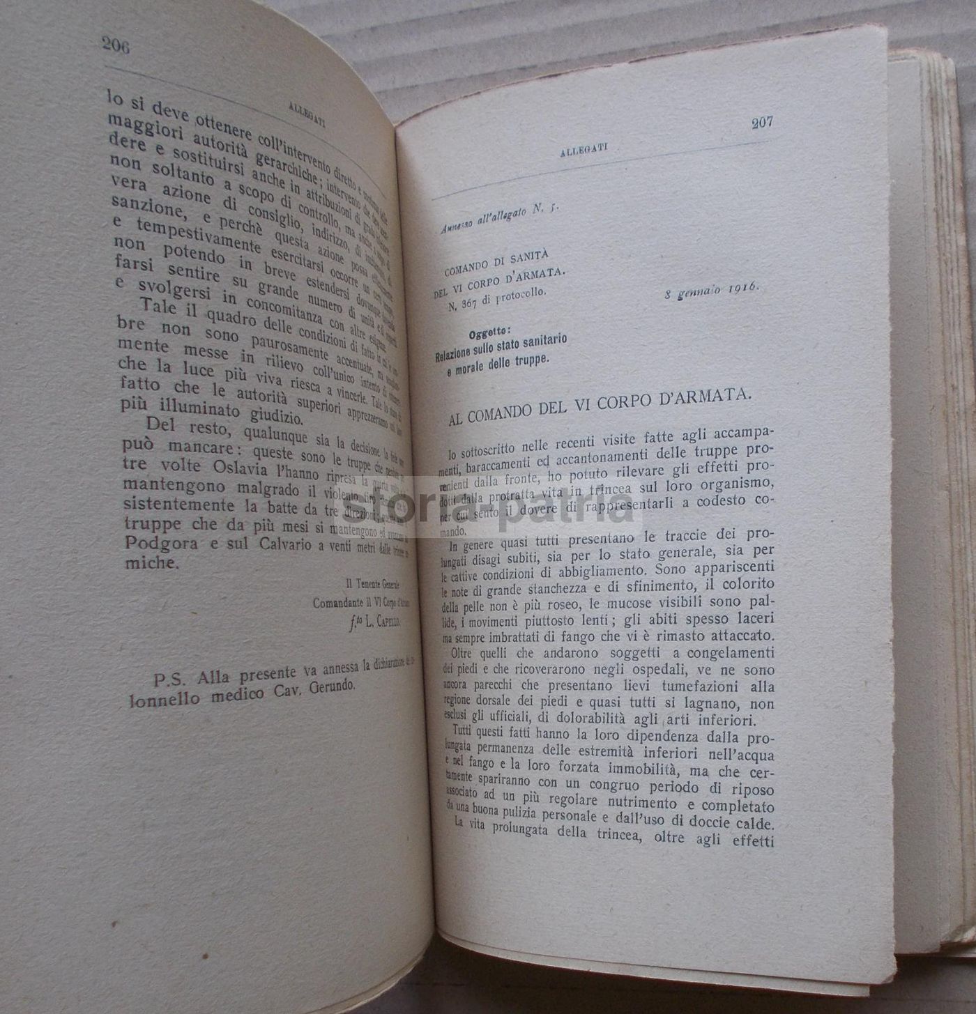 Per La Verità. Luigi Capello. Memorie Della Grande Guerra. Treves, 1920