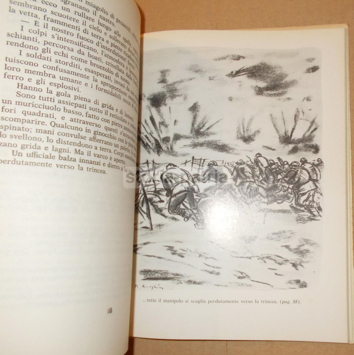 Sacchetti A Terra: Racconti Della Grande Guerra 1915 1918