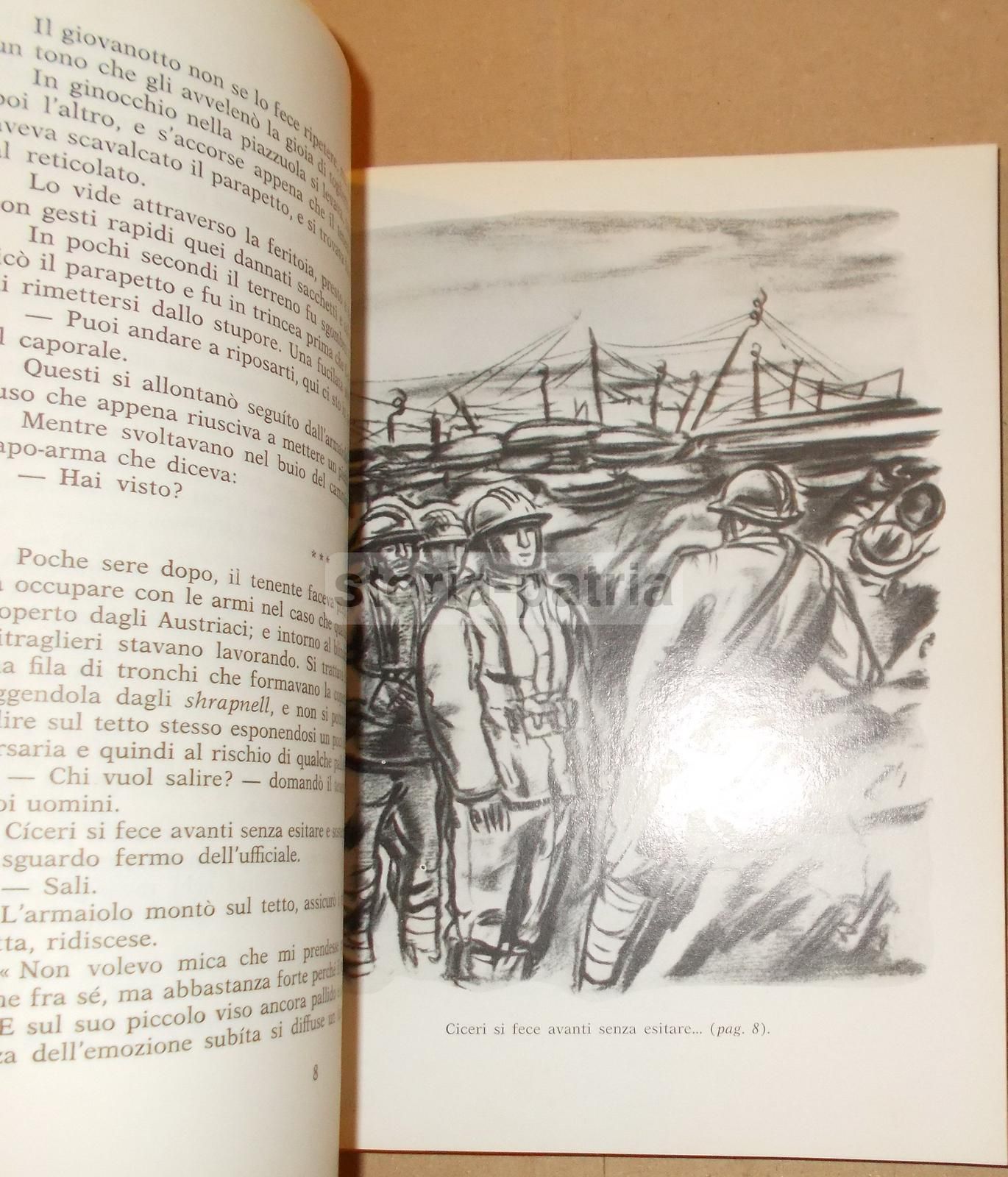 Sacchetti A Terra: Racconti Della Grande Guerra 1915 1918