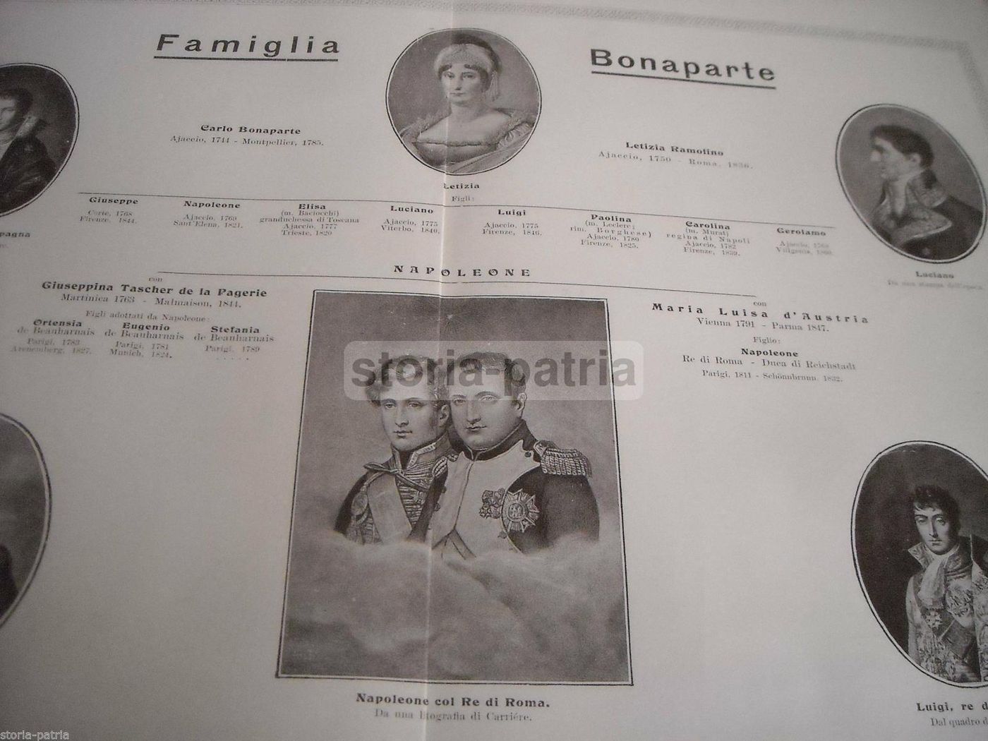Albero Genealogico Della Famiglia Bonaparte, Stampa Antica