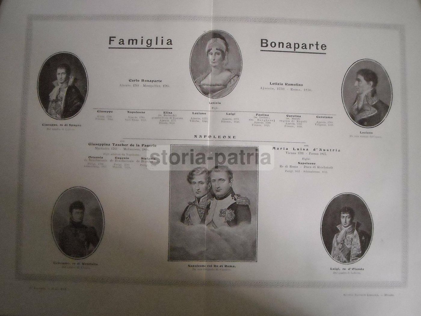 Albero Genealogico Della Famiglia Bonaparte, Stampa Antica