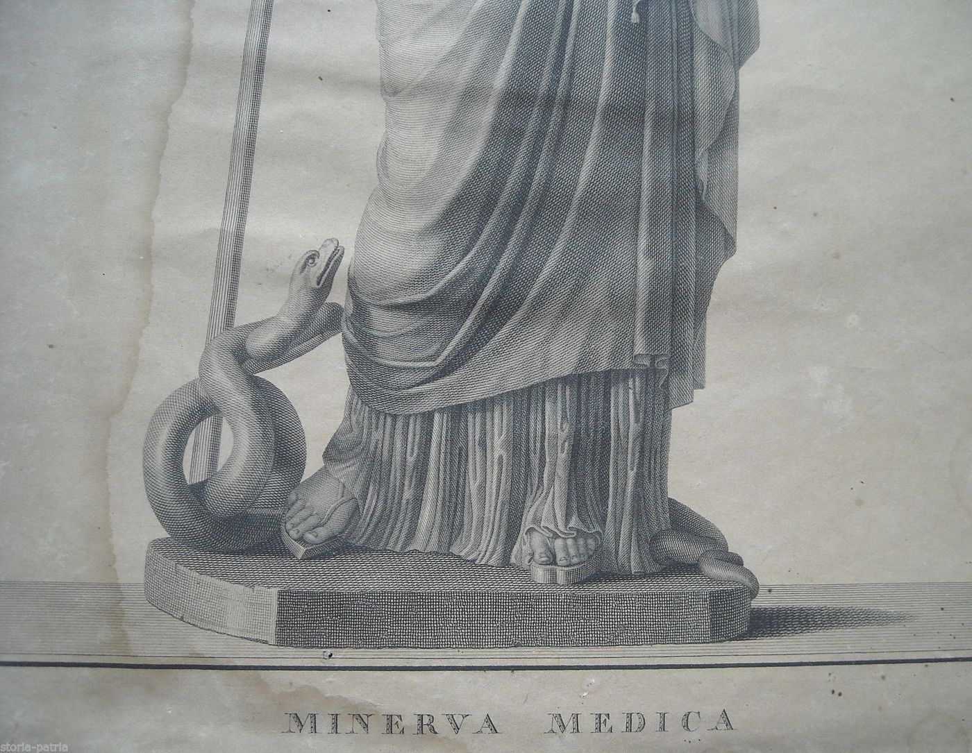 Minerva Medica. Incisione Antica Di P. Fontana. Acquaforte Del XVIII Secolo
