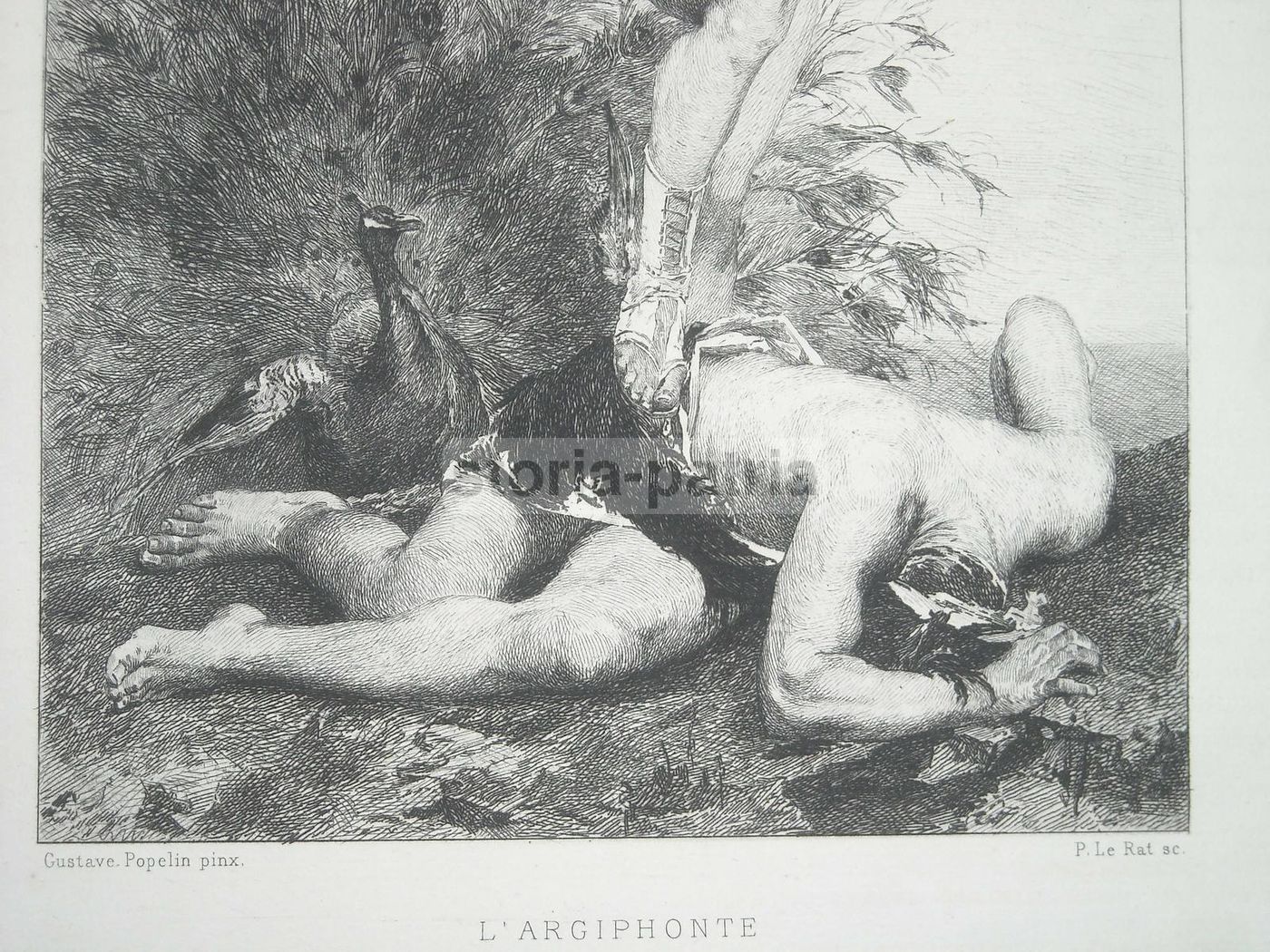 Incisione Antica Argifonte: Ermete E Argo Panoptes, Le Rat Da Popelin