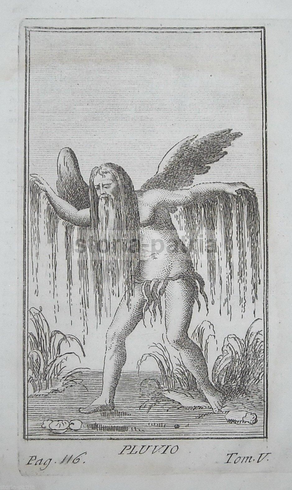 Incisione Antica Pluvio Divinità Mitologica Della Pioggia 1800