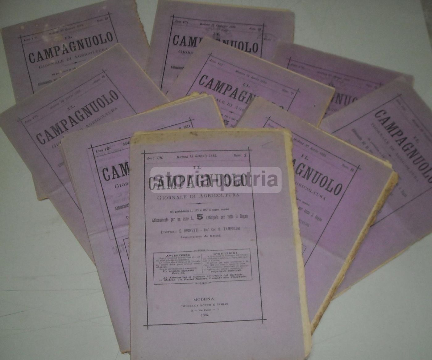 Il Campagnuolo 1885: Giornale Di Agricoltura Modenese