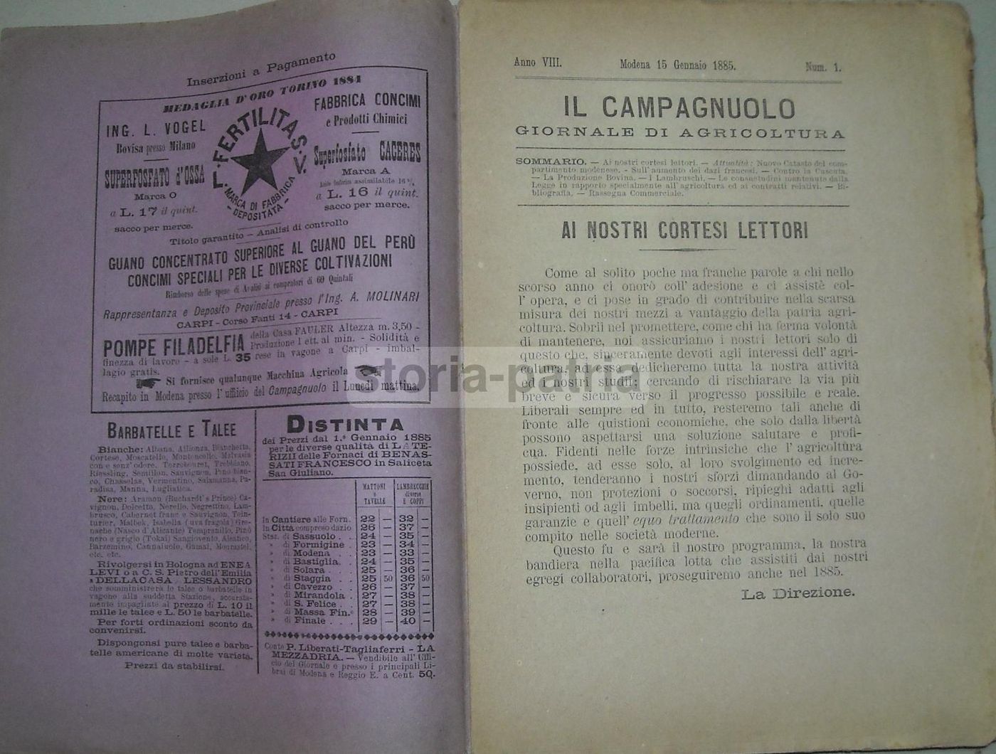Il Campagnuolo 1885: Giornale Di Agricoltura Modenese
