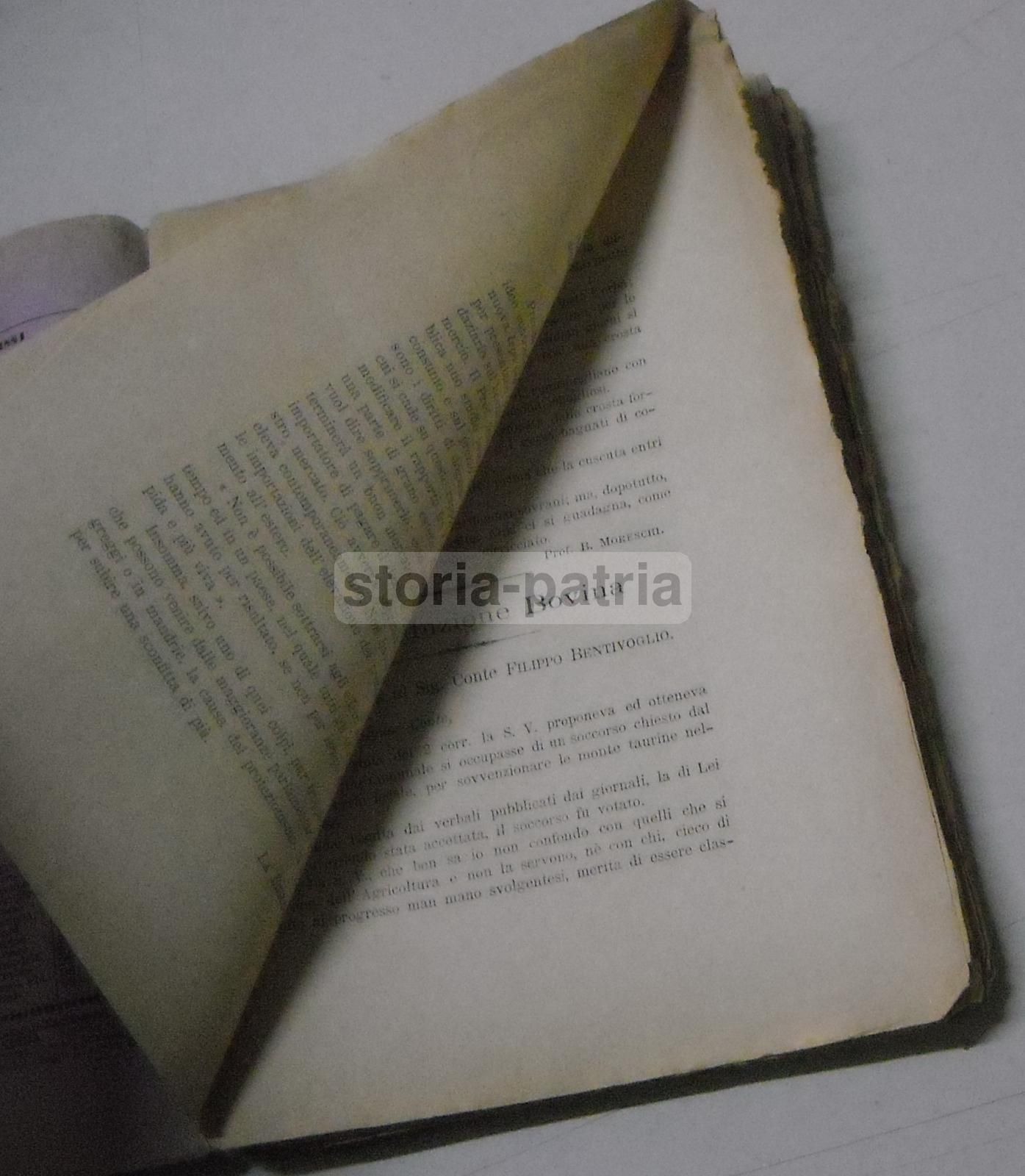 Il Campagnuolo 1885: Giornale Di Agricoltura Modenese