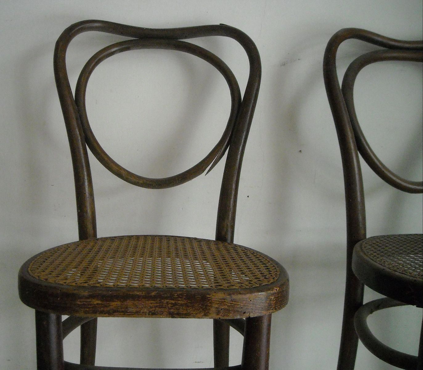 Coppia Di Sedie Antiche Jacob & Joseph Kohn In Legno Curvato