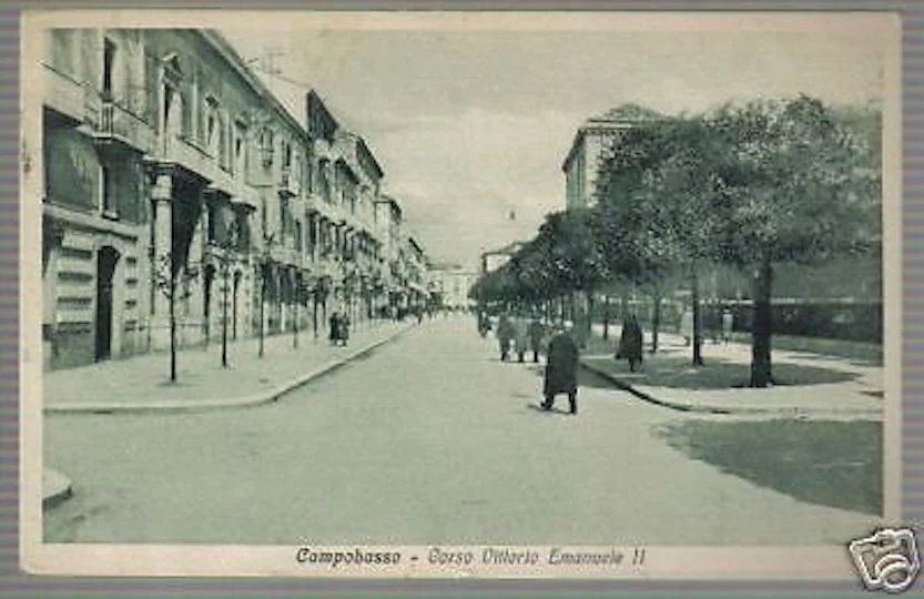 Campobasso Corso Vittorio Emanuele II Postcard 1930s