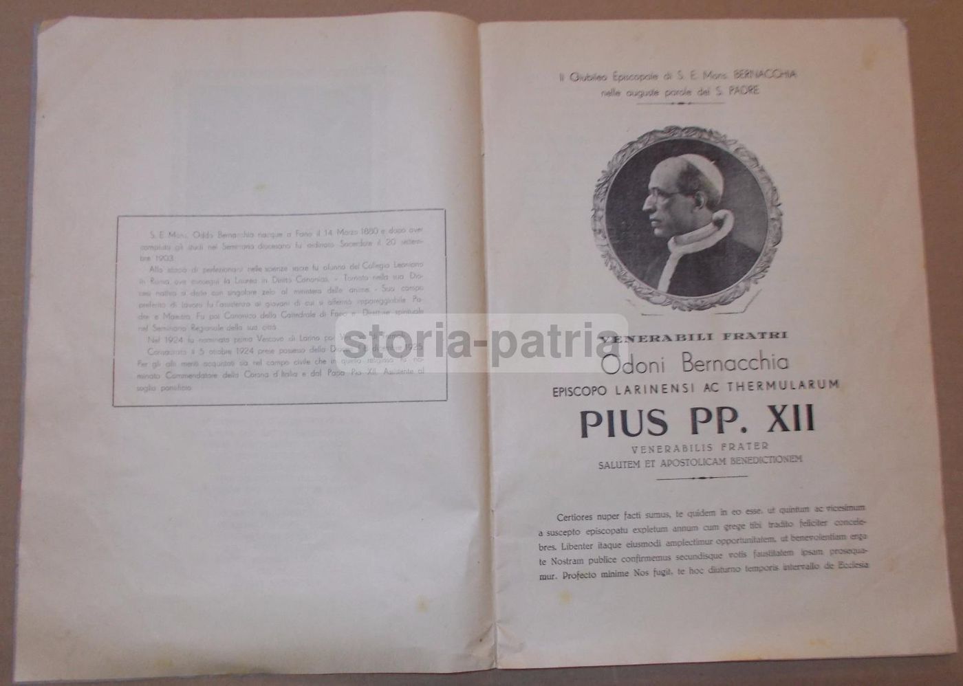 Giubileo Episcopale Di Monsignor Oddo Bernacchia: Termoli 1950