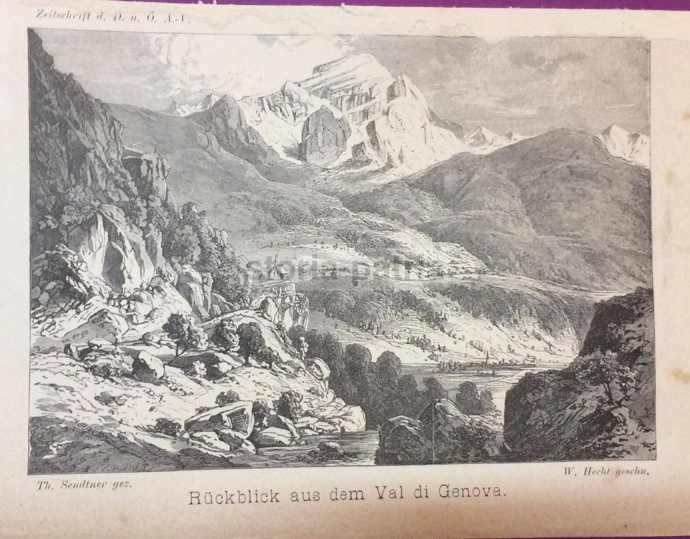 Antica Stampa Val Di Genova: Veduta Alpina. Incisione d'Epoca (XIX Secolo)