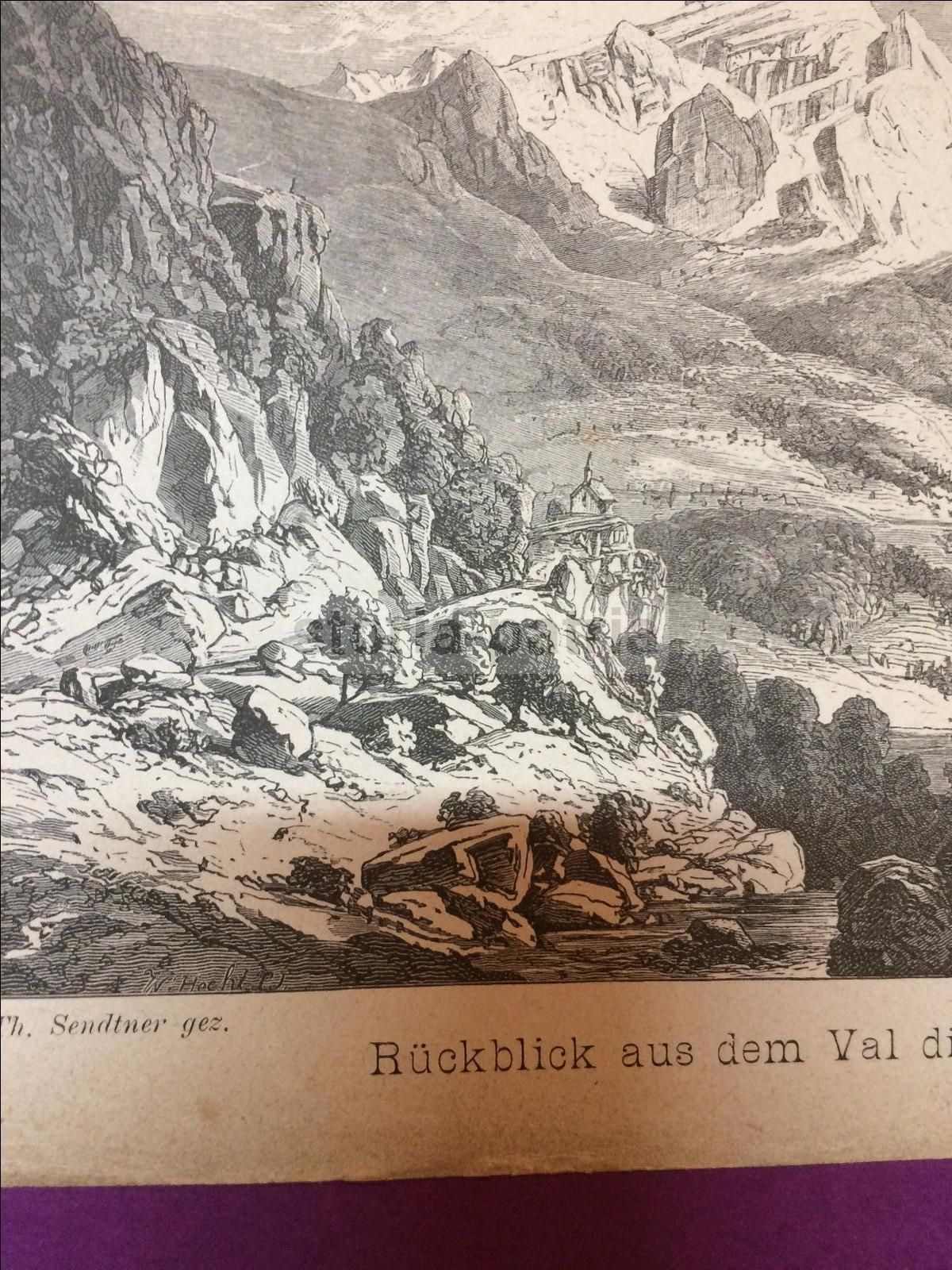 Antica Stampa Val Di Genova: Veduta Alpina. Incisione d'Epoca (XIX Secolo)