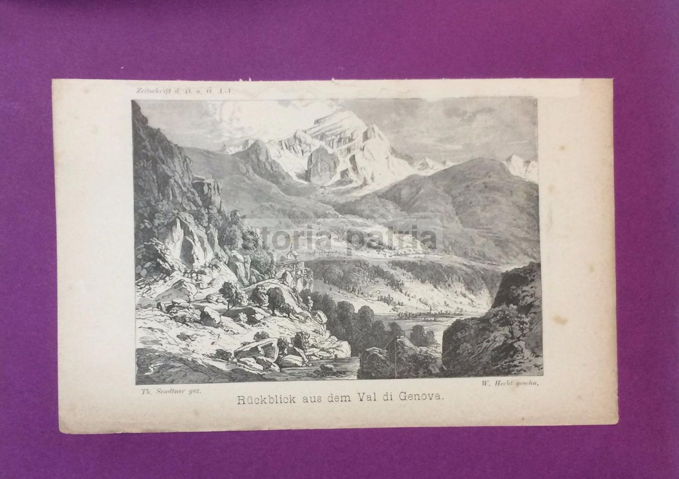 Antica Stampa Val Di Genova: Veduta Alpina. Incisione d'Epoca (XIX Secolo)