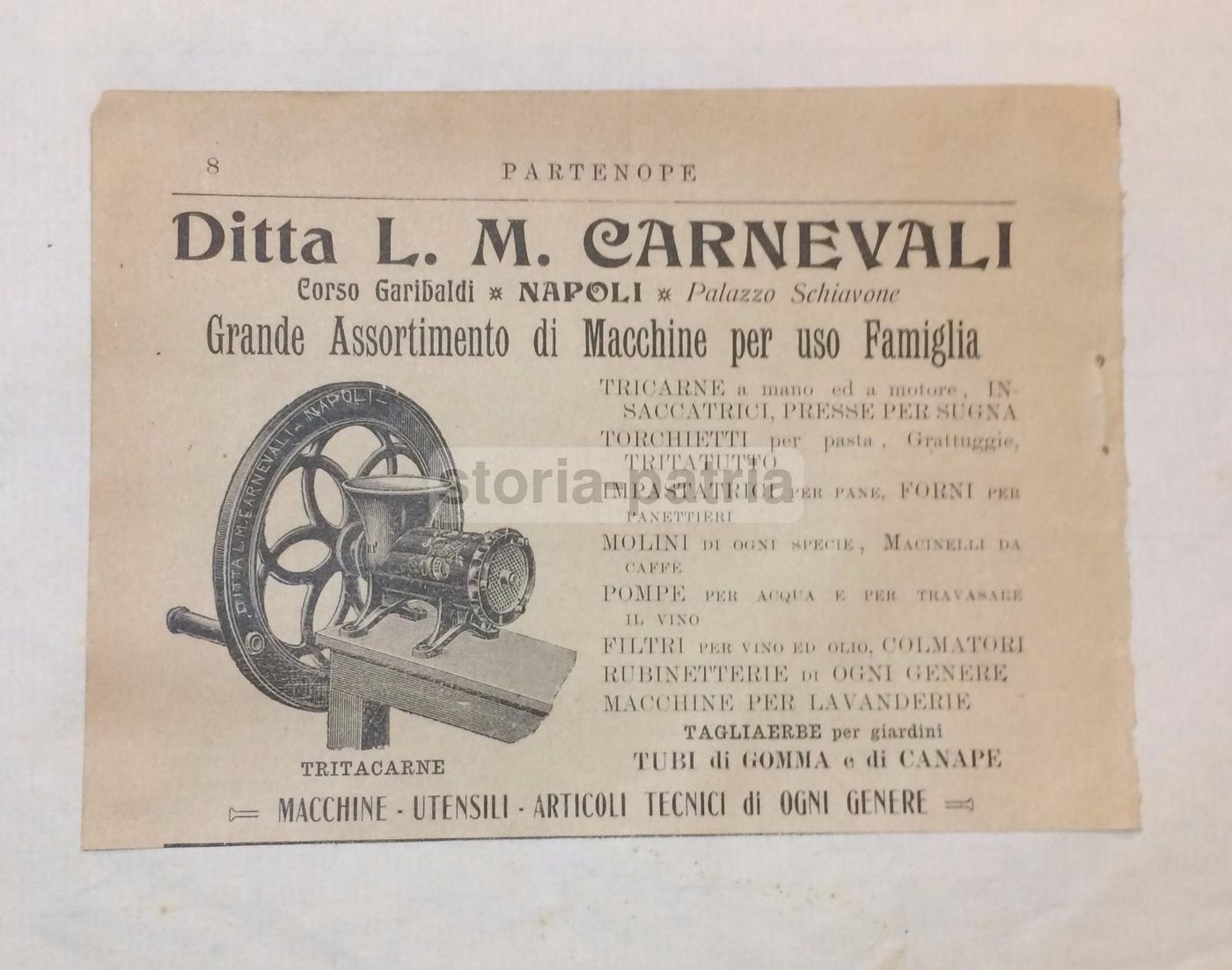 Pubblicità Antica Ditta Carnevali Napoli: Tritacarne E Pompe, 1912