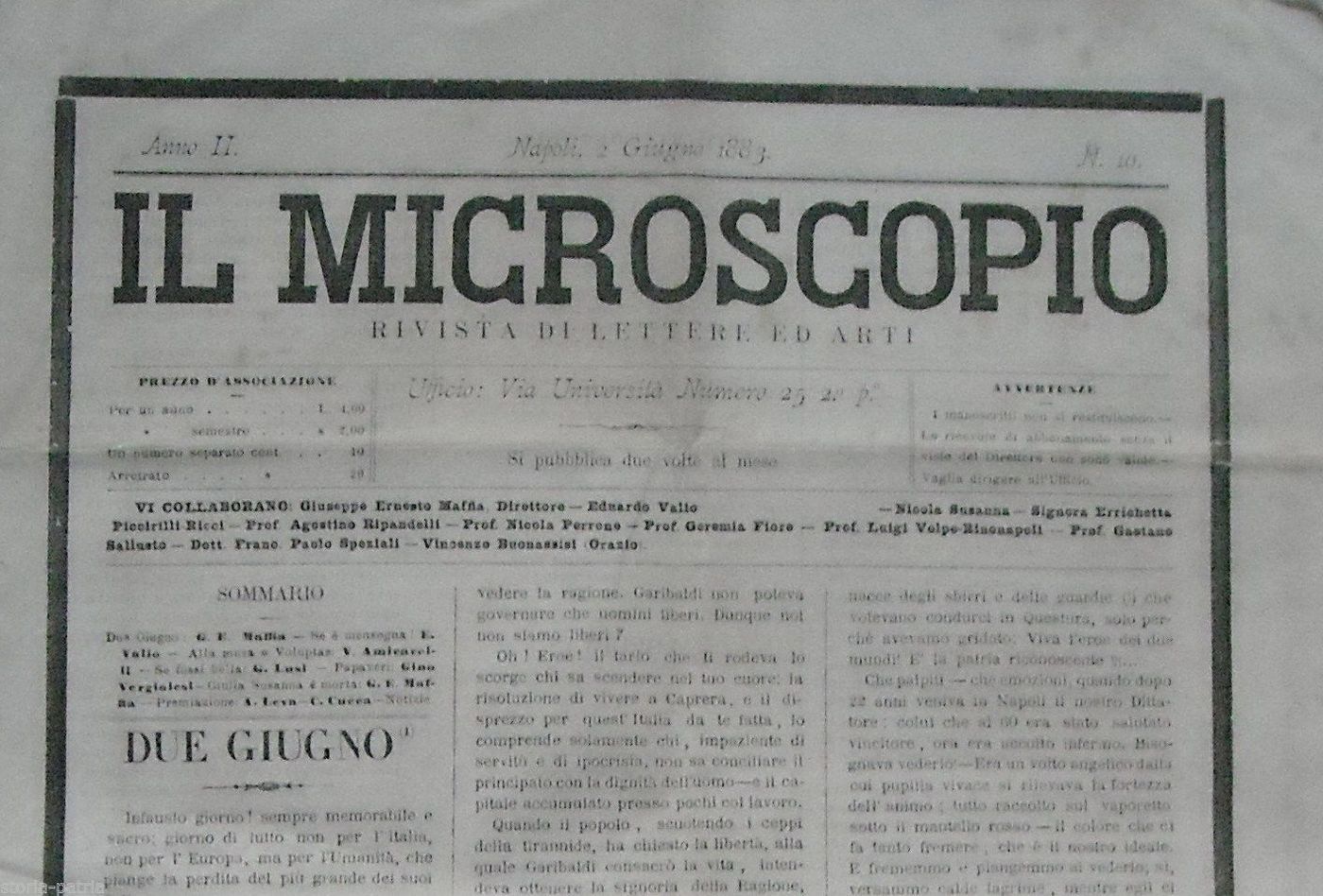 Il Microscopio 1883: Giornale Letterario Napoletano (Maffia, Valio)