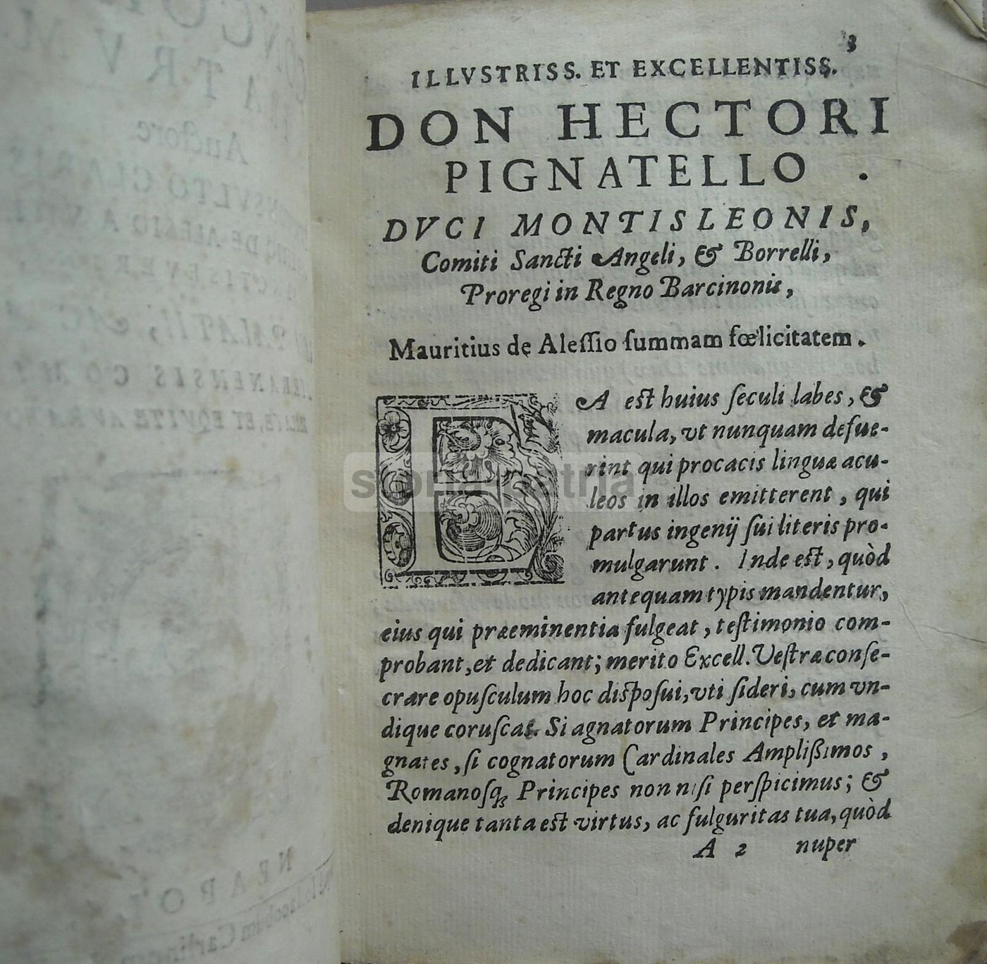 Concordia Fratrum, Mauritio De Alesio (Napoli, 1607)   Diritto Di Famiglia
