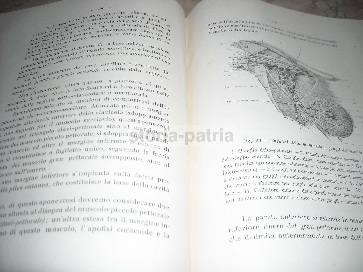 Sabino Lembo: La Radiumchirurgia Del Cancro Della Mammella (1927)