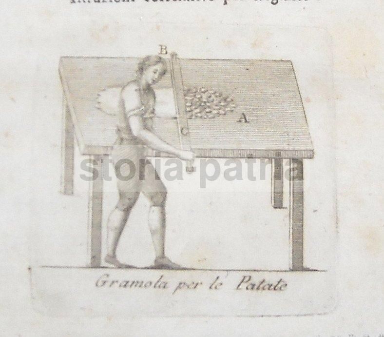 Coltivazione E Uso Delle Patate: Napoli, 1803. Ricettario Antico E Raro
