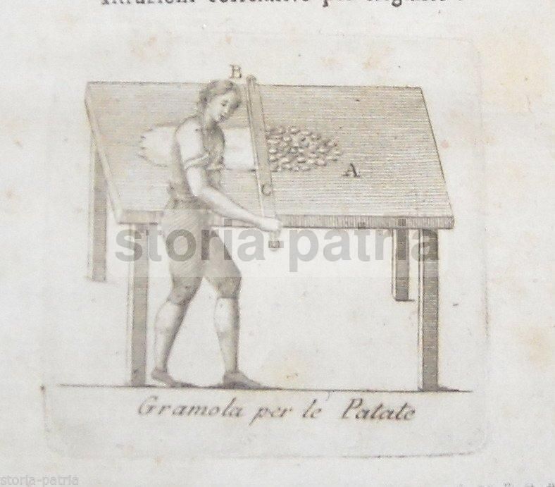 Coltivazione E Uso Delle Patate: Napoli, 1803. Ricettario Antico E Raro
