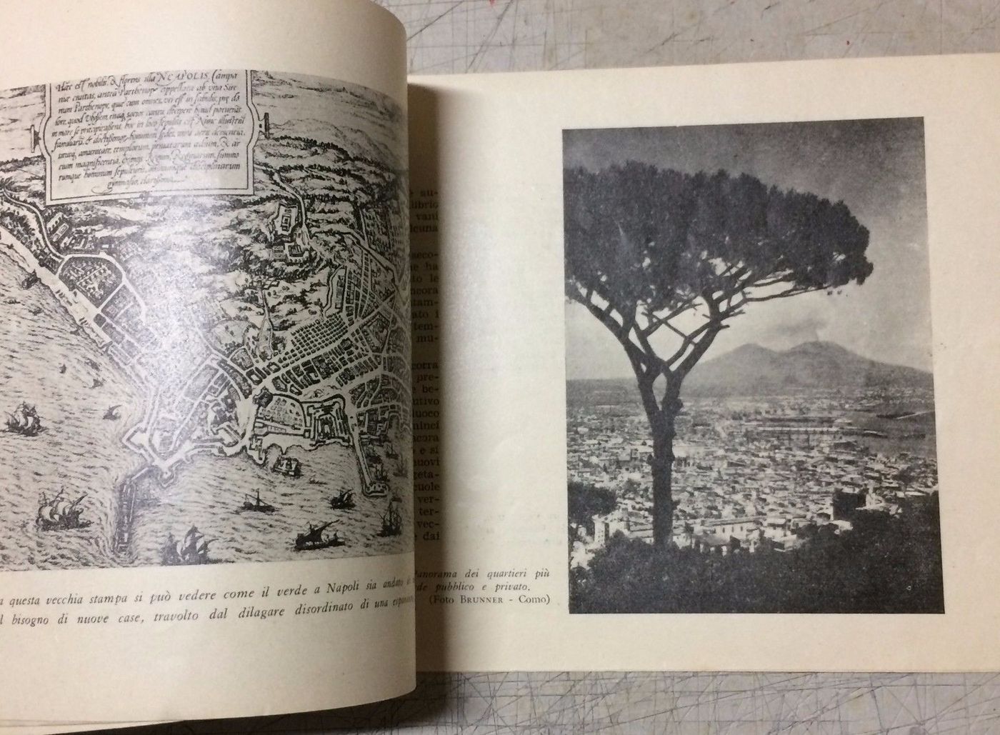 Il Problema Del Verde A Napoli, Domenico Andriello, 1948