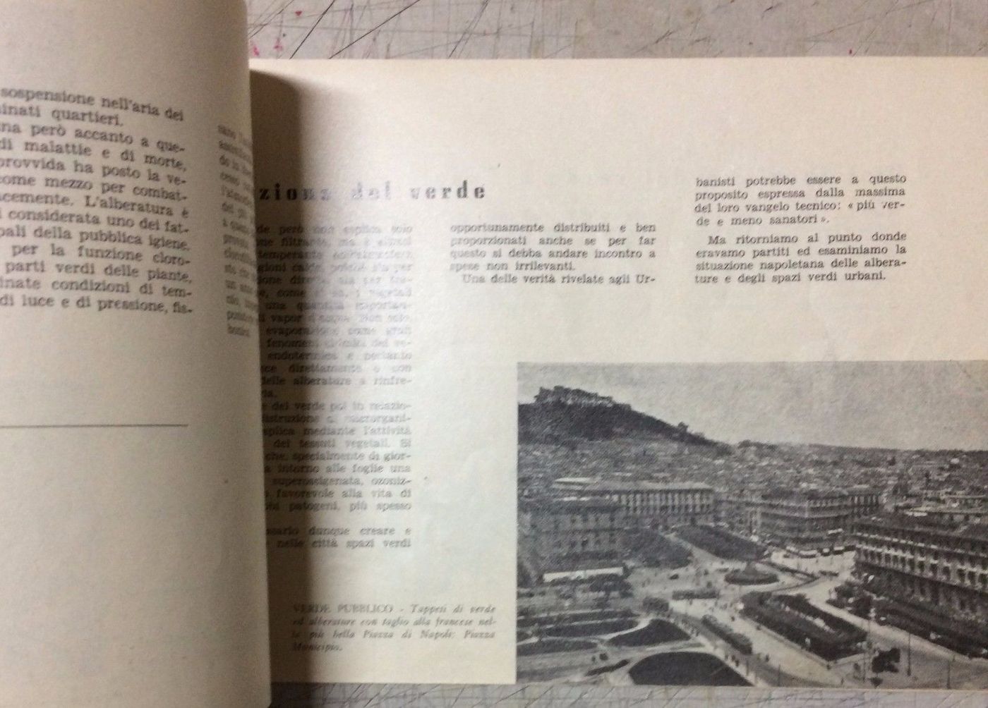 Il Problema Del Verde A Napoli, Domenico Andriello, 1948