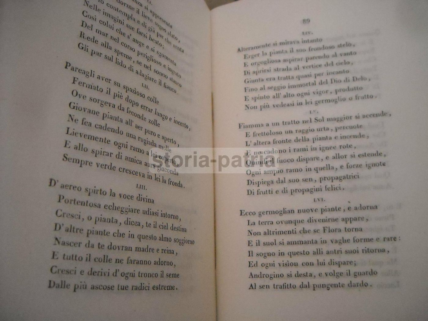 Epitalami Di Baccio Dal Borgo, Pisa 1833, Edizione Originale